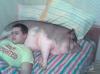 sleeping
